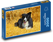 Border Collie on Straw Puzzle 2000 pieces - 90 x 60 cm