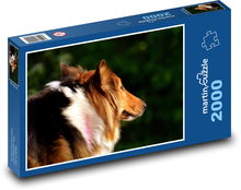 Portrét psa při západu slunce, Kolie Puzzle 2000 dílků - 90 x 60 cm