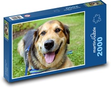 Psí úsmev Puzzle 2000 dielikov - 90 x 60 cm