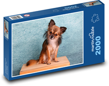 Dog Model, Chihuahua Puzzle 2000 pieces - 90 x 60 cm