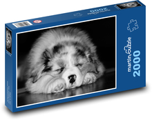 Schlafender Hund Baby Puzzle 2000 Teile - 90 x 60 cm