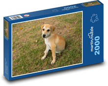 Malý pejsek v trávě Puzzle 2000 dílků - 90 x 60 cm