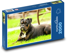 Pes Puzzle 2000 dielikov - 90 x 60 cm