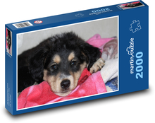 Schlafender Welpe in rosa Decke Puzzle 2000 Teile - 90 x 60 cm