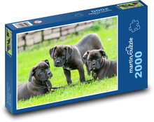Tři štěňata a jedno velké dobrodružství Puzzle 2000 dílků - 90 x 60 cm