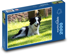Hund Puzzle 2000 Teile - 90 x 60 cm