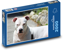 Biely strážca, pitbull Puzzle 2000 dielikov - 90 x 60 cm