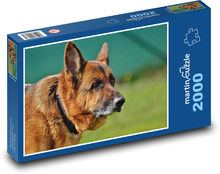 Dog, silent protector Puzzle 2000 pieces - 90 x 60 cm