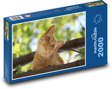 Rudy kot na drzewie Puzzle 2000 elementów - 90x60 cm