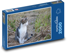 Mačka sediaca v tráve Puzzle 2000 dielikov - 90 x 60 cm