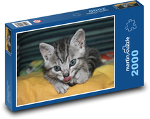 Ciekawy kotek Puzzle 2000 elementów - 90x60 cm