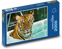 Tiger Puzzle 2000 dielikov - 90 x 60 cm