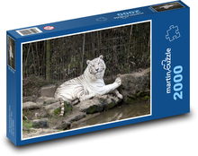 The Calm Power of the White Tiger Puzzle 2000 pieces - 90 x 60 cm