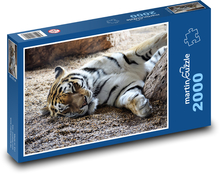 Reszta dzikiego tygrysa Puzzle 2000 elementów - 90x60 cm