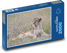 Lion Puzzle 2000 pieces - 90 x 60 cm