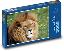 Majestátní lev v trávě Puzzle 2000 dílků - 90 x 60 cm