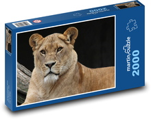 Eine wachsame Löwin in der Natur Puzzle 2000 Teile - 90 x 60 cm