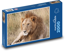 Lion Puzzle 2000 pieces - 90 x 60 cm