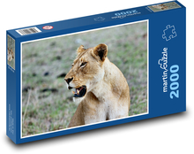 African lioness Puzzle 2000 pieces - 90 x 60 cm