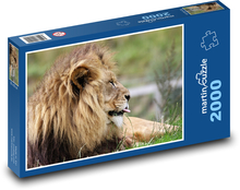 Leví kráľ savany Puzzle 2000 dielikov - 90 x 60 cm