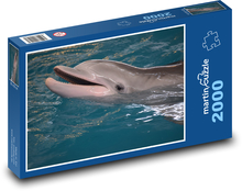 Usmievavý delfín v bazéne Puzzle 2000 dielikov - 90 x 60 cm