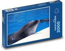 Delfine ruhig am Wasser Puzzle 2000 Teile - 90 x 60 cm