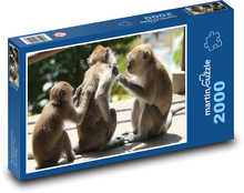 Opice Puzzle 2000 dielikov - 90 x 60 cm