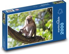 Monkeys in the treetops Puzzle 2000 pieces - 90 x 60 cm