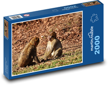 Dve opice v prírode Puzzle 2000 dielikov - 90 x 60 cm