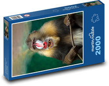 Exotická opice mandril Puzzle 2000 dílků - 90 x 60 cm
