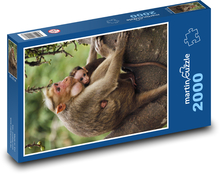 Małpia matka z młodym Puzzle 2000 elementów - 90x60 cm