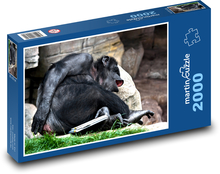 Ruhender Affe Puzzle 2000 Teile - 90 x 60 cm
