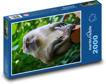 Affe Puzzle 2000 Teile - 90 x 60 cm