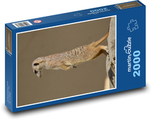 Surykatka na straży Puzzle 2000 elementów - 90x60 cm