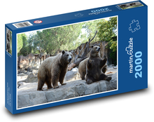 Medvede hnedé v ZOO Puzzle 2000 dielikov - 90 x 60 cm