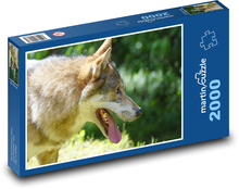 Vlk s vyplazeným jazykem Puzzle 2000 dílků - 90 x 60 cm