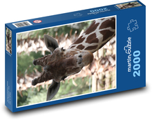 Giraffe Puzzle 2000 Teile - 90 x 60 cm