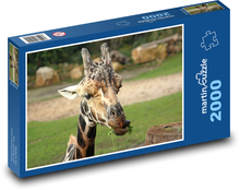 Žirafa Puzzle 2000 dílků - 90 x 60 cm