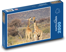 Giraffe Puzzle 2000 pieces - 90 x 60 cm
