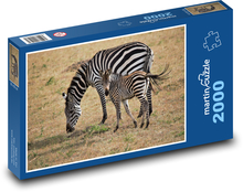Zebra mit Jungtier auf der Weide Puzzle 2000 Teile - 90 x 60 cm
