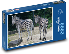 Zebra Puzzle 2000 dílků - 90 x 60 cm