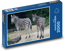 Zebry v zoologickej záhrade Puzzle 2000 dielikov - 90 x 60 cm