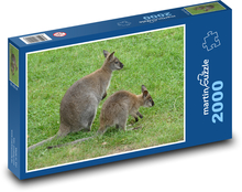 Kangaroo with baby Puzzle 2000 pieces - 90 x 60 cm