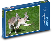 Odpočívajúce klokany Puzzle 2000 dielikov - 90 x 60 cm