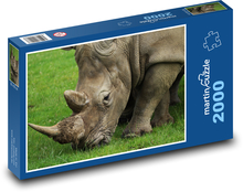 Nosorožec při pastvě Puzzle 2000 - 90x60 cm