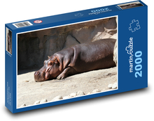 Odpočívající hroch Puzzle 2000 dílků - 90 x 60 cm