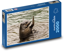 Sea lion Puzzle 2000 pieces - 90 x 60 cm