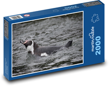 Pinguin im Meer Puzzle 2000 Teile - 90 x 60 cm