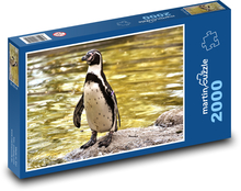 Niedlicher Pinguin auf einem Felsen Puzzle 2000 Teile - 90 x 60 cm