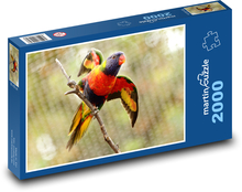 Colorful parrot with spread wings Puzzle 2000 pieces - 90 x 60 cm